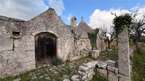 Ad 1 Km dal Paese, Trulli con Conversa e Terreno di 14.000 mq ca.